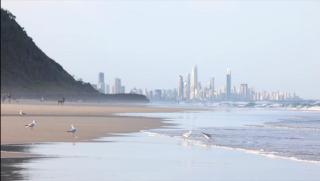 Luxe Haus - Gold Coast - 8