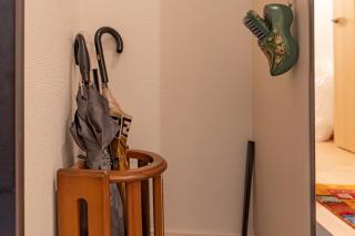 3 minutes walk to the station, direct to Ikebukuro, two-story house with a garden - Tokyo - 1