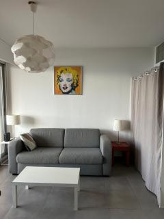 T2 route des sanguinaires vue mer panoramique - 8