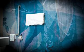 Cubilaris Motel - Bad Ragaz - 2
