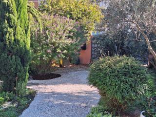 La maison rose - Avignon - 4