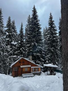 Вила Рози, Семково - Semkovo - 4