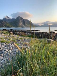 Fredvang holiday house, Lofoten - Fredvang - 3