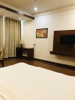 Tulips Resort - Hisār - 9