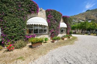 Tenuta Villa Tara - Ischia - 3