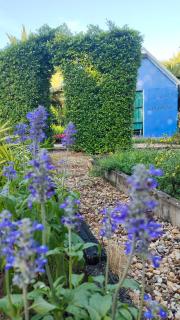 Payim farmstay - - 7