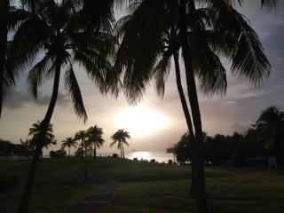 Résidence Studio ANTIGUA 03 - 1