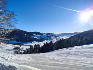 Ferienwohnung Skilift Hofeck - Bernau im Schwarzwald - 6