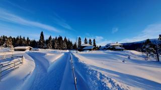 Stallen - Heggem - 9