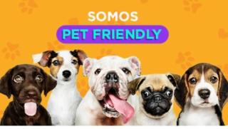 Comfortable Gonzaga Apartament - Em 1 minuto a pé tá na PRAIA Gonzaga em Santos e no Shopping Balneário, 2 ar-condicionados, portaria 24 horas, elevador, 1 vaga carro Gratís, wi-fi Grátis, enxoval Gratuito, PRAIA Santos Gonzaga, Bicicleta disponí - 2