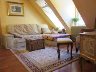 A precious apartment in Ljubljana - 6