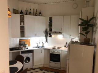 Atmospheric 46m2 apartment - 4