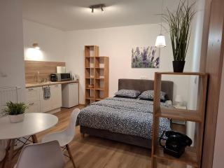 Apartamenty Kudowski Potok - 7