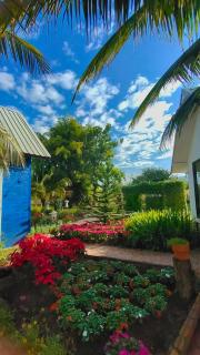 พายิ้มฟาร์ม - 6