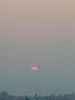 Hotel Rudra - Dehradun - 8