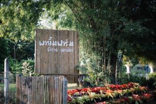 พายิ้มฟาร์ม - - 8