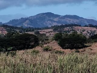 Town Center Stay - Nadi - 7