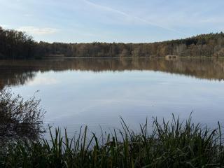 Ferienhaus Reuthsee - 5