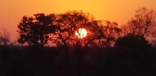 Kruger Riverfront Villa - Marloth Park - 9