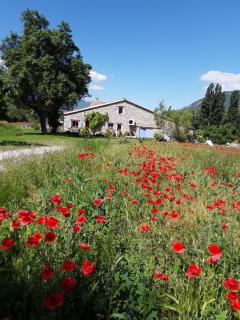 Renovated farm, ferme rénovée - Savournon - 8