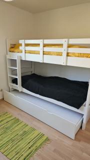 Eichhörnchen-Haus Körner im Schwarzwald - 4