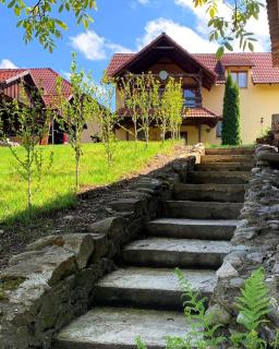 Villa Rusu - Cîrţa - 1