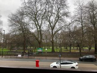 1 Bed-Park View-Balcony-WiFi-Pet Friendly - Londra - 7