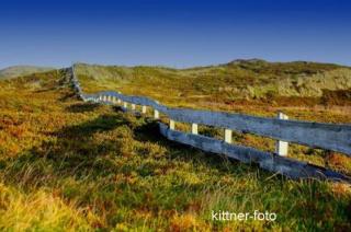 Teegelii Ferienhof Rote Syltrose Teegelii Hof - 1