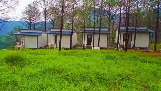 Conifer Resort - Jajal - 1