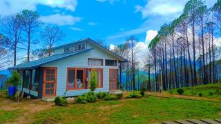 Conifer Resort - Jajal - 3
