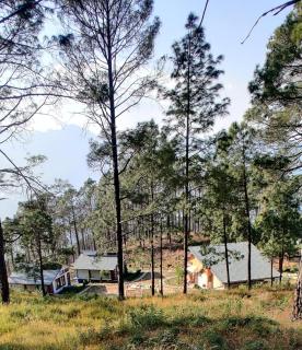 Conifer Resort - Jajal - 2