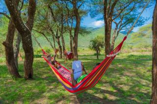 Kili View Maasai Lodge - 1