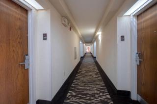 Red Roof Inn Prattville - Prattville - 8