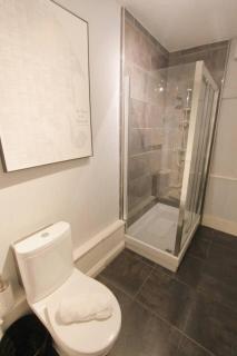 Large clifton one bed flat and parking - Bristol - 2