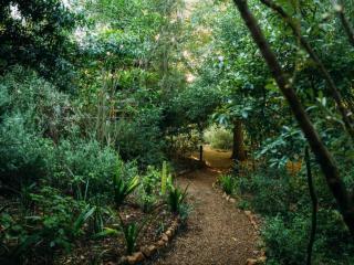 Phakalane Retreat - 3