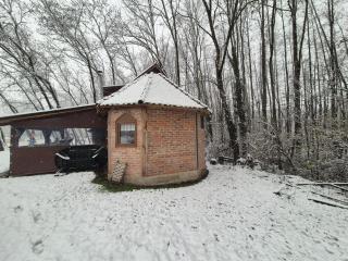 Fisherman's paradise, House and LAKE - Donji Žabar - 6