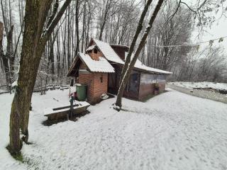 Fisherman's paradise, House and LAKE - Donji Žabar - 9