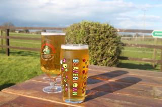 The Chequers Inn - Rookley - 1