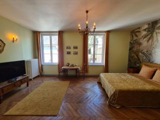 Maison Bourgeoise classée 3 étoiles à 100 m des Bords de Loire avec parkings privés - Orléans - 0