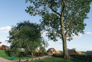 Saxon Meadow by Wigwam Holidays - Tamworth - 5