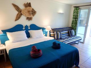 Résidence P&V studio ANTIGUA 4 - 6