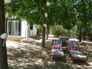 Trendy and Luxe B&B and Garden Suite - Ferreira do Alentejo - 9