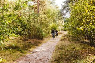 Landgoed Het Grote Zand - 8