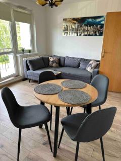 Cozy, sunny apartment - Łódź - 0