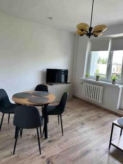 Cozy, sunny apartment - Łódź - 3