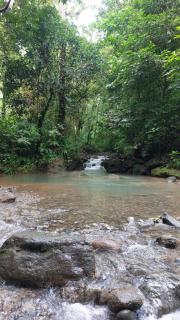 Private room in nature - Coronado - 4