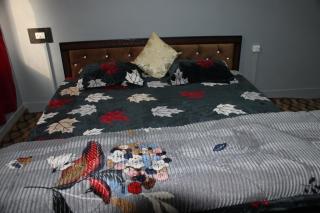 Khadim Villa & Travel Planners - Srinagar - 1