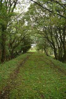 Stone cottage in rural Pembrokeshire - Haverfordwest - 6