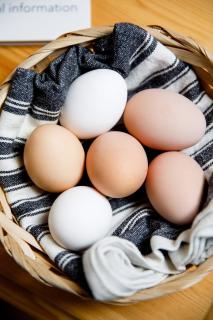 Stone cottage in rural Pembrokeshire - 2