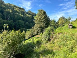 Gite à la Ferme - Arrodets-ez-Angles - 5